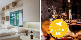 St. Martin's weekend in Olomouc (Nezvalova Archa Smarthotel)