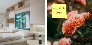 Vyznání růžím + Festival filharmonie (Smarthotel Nezvalova Archa)