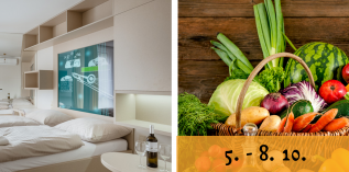 Podzimní Flora Olomouc (Smarthotel Nezvalova Archa) 