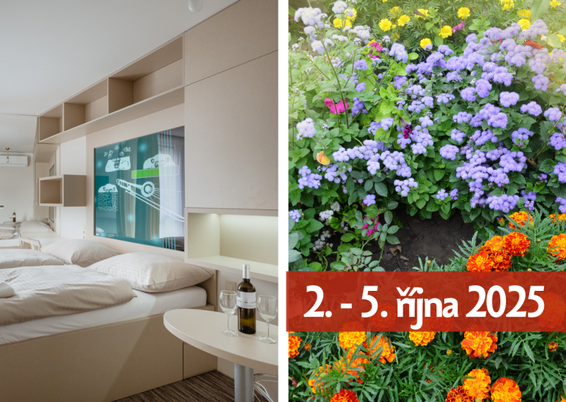Podzimní Flora Olomouc (Smarthotel Nezvalova Archa) 
