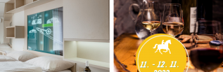 St. Martin's weekend in Olomouc (Nezvalova Archa Smarthotel)