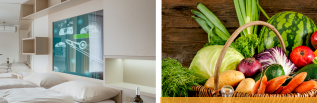 Podzimní Flora Olomouc (Smarthotel Nezvalova Archa) 