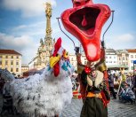 Olomoucké masopustní veselí